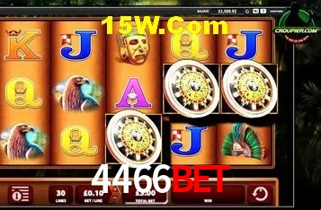 4466bet